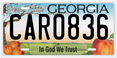 GA license plate CAR0836