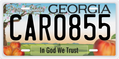 GA license plate CAR0855