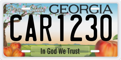 GA license plate CAR1230