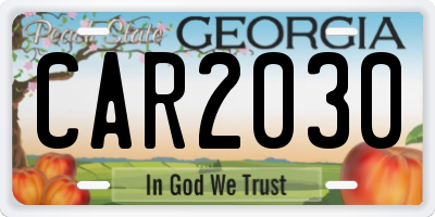 GA license plate CAR2030