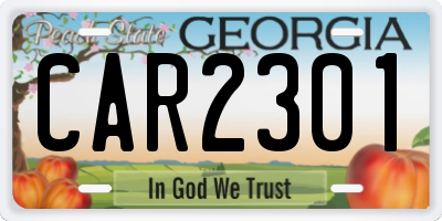 GA license plate CAR2301