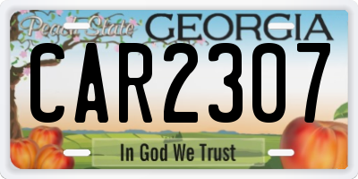 GA license plate CAR2307