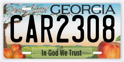 GA license plate CAR2308