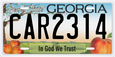 GA license plate CAR2314