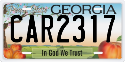 GA license plate CAR2317