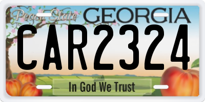 GA license plate CAR2324