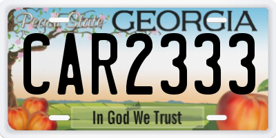 GA license plate CAR2333