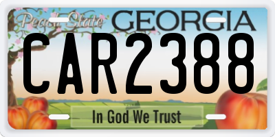 GA license plate CAR2388