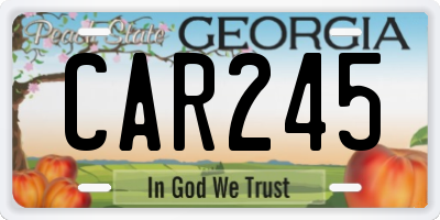 GA license plate CAR245