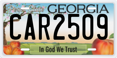 GA license plate CAR2509