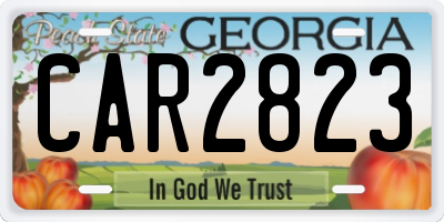 GA license plate CAR2823