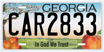 GA license plate CAR2833