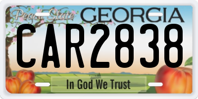 GA license plate CAR2838