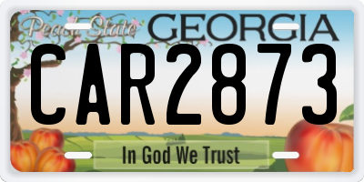 GA license plate CAR2873