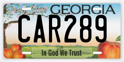 GA license plate CAR289