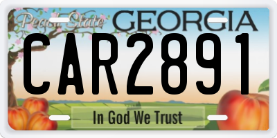 GA license plate CAR2891