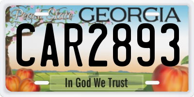 GA license plate CAR2893