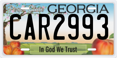 GA license plate CAR2993