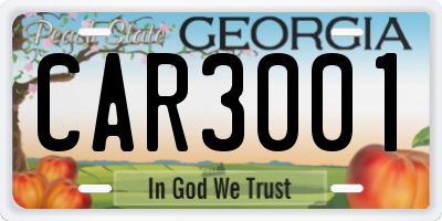 GA license plate CAR3001