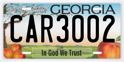 GA license plate CAR3002