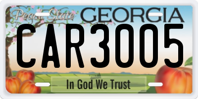 GA license plate CAR3005