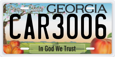 GA license plate CAR3006