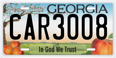 GA license plate CAR3008