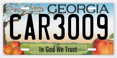 GA license plate CAR3009