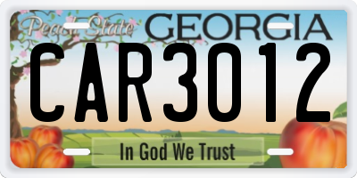 GA license plate CAR3012