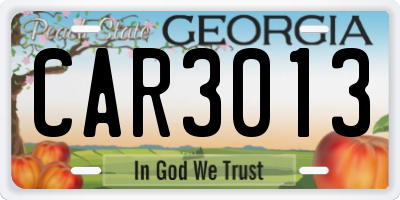 GA license plate CAR3013