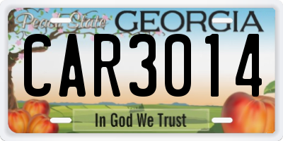 GA license plate CAR3014