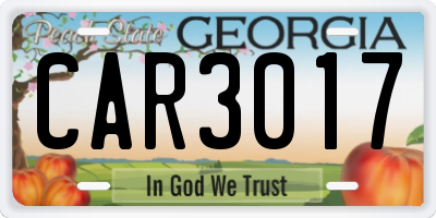 GA license plate CAR3017