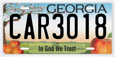 GA license plate CAR3018