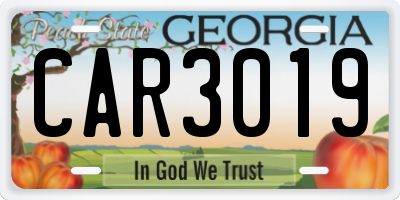 GA license plate CAR3019