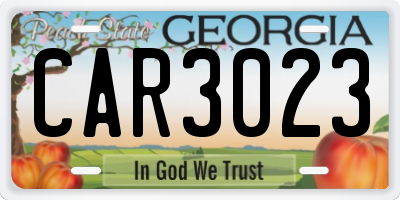 GA license plate CAR3023