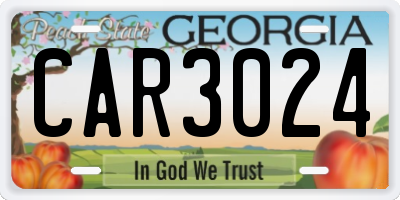 GA license plate CAR3024