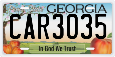 GA license plate CAR3035