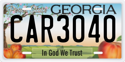 GA license plate CAR3040