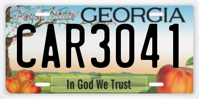 GA license plate CAR3041