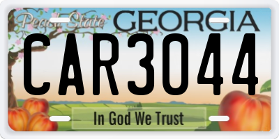 GA license plate CAR3044