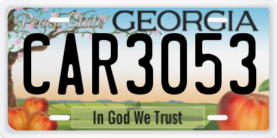 GA license plate CAR3053