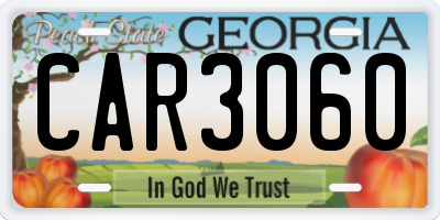 GA license plate CAR3060