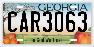 GA license plate CAR3063