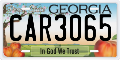 GA license plate CAR3065