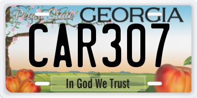 GA license plate CAR307