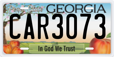 GA license plate CAR3073