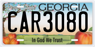 GA license plate CAR3080