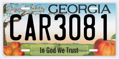 GA license plate CAR3081