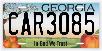 GA license plate CAR3085