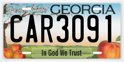 GA license plate CAR3091